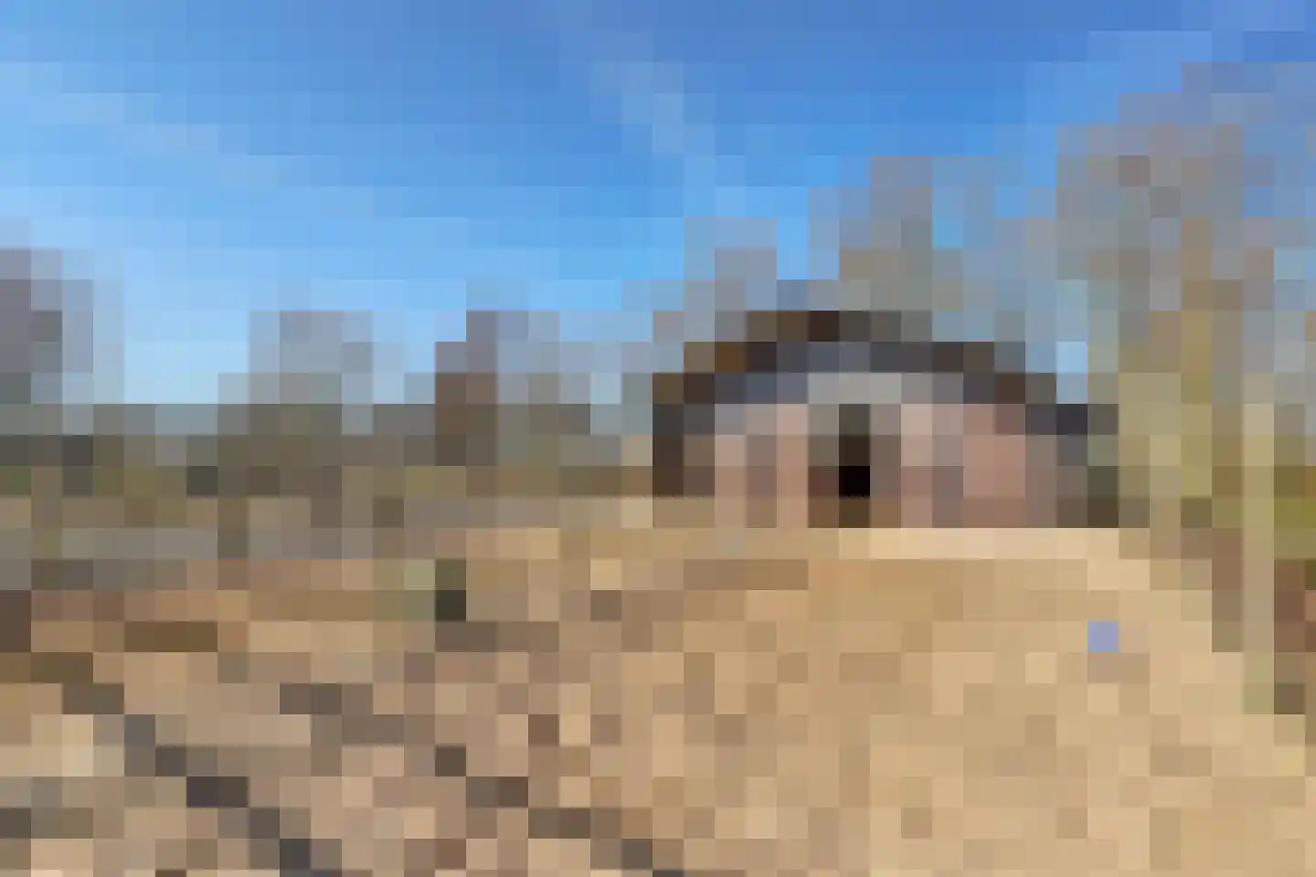 Noordzijdseweg 193 Polsbroek thumbnail 39