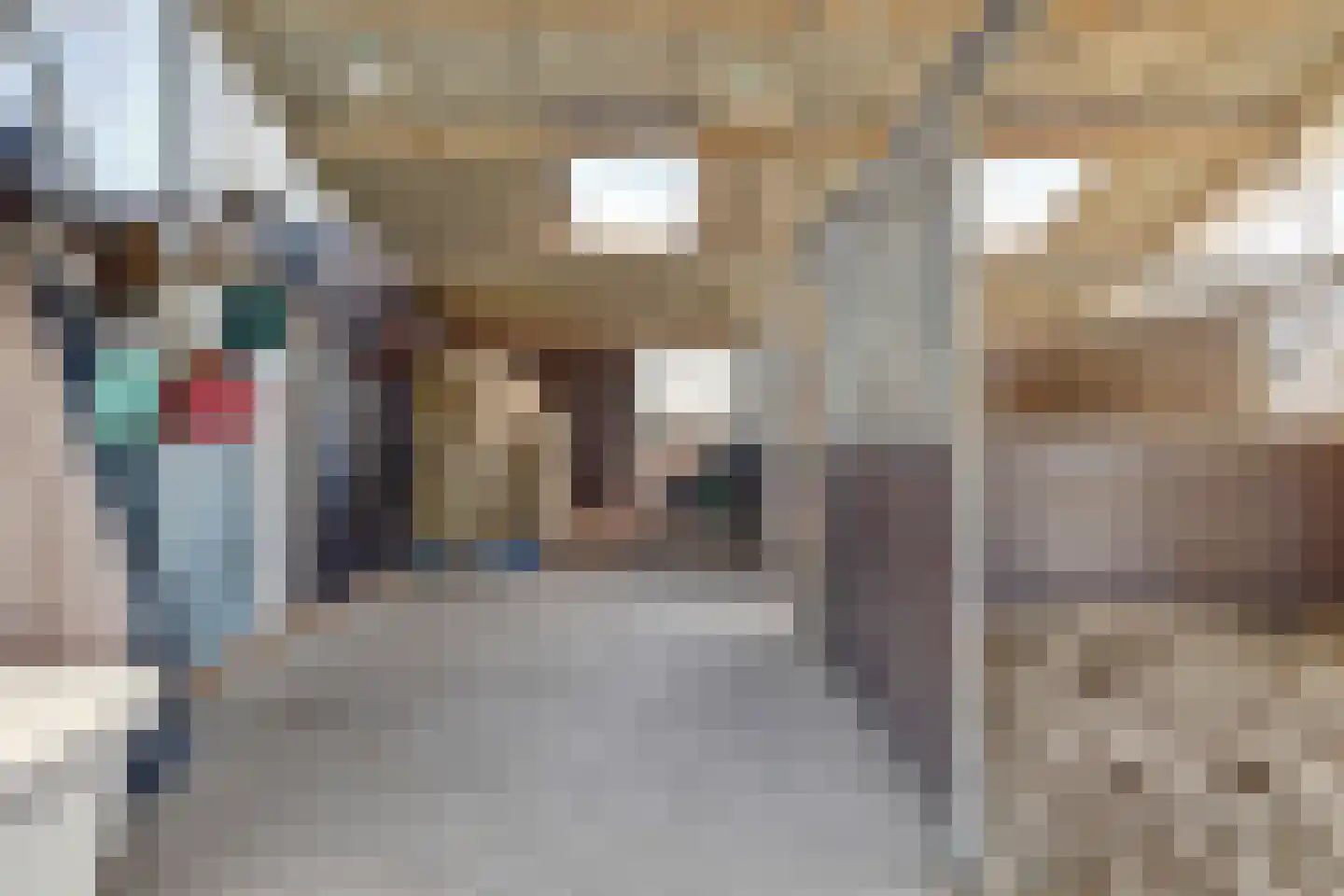 Noordzijdseweg 193 Polsbroek thumbnail 40