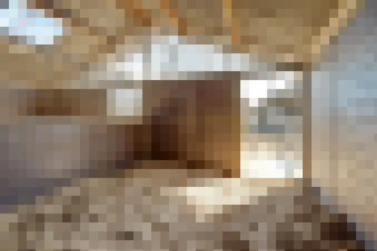 Noordzijdseweg 193 Polsbroek thumbnail 41