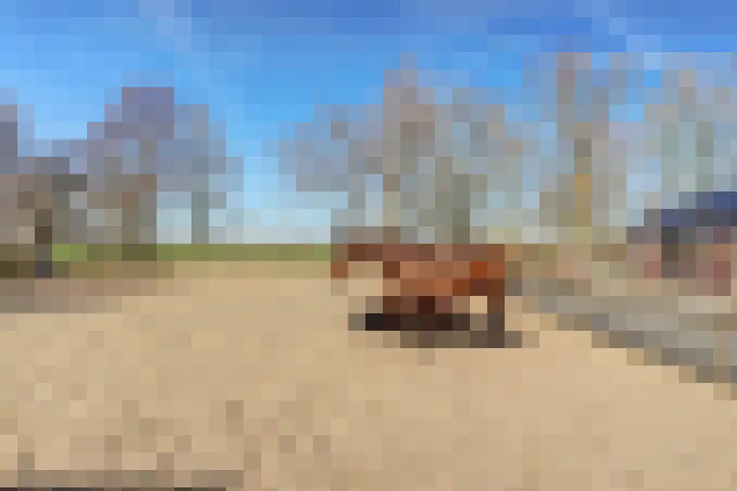 Noordzijdseweg 193 Polsbroek thumbnail 43