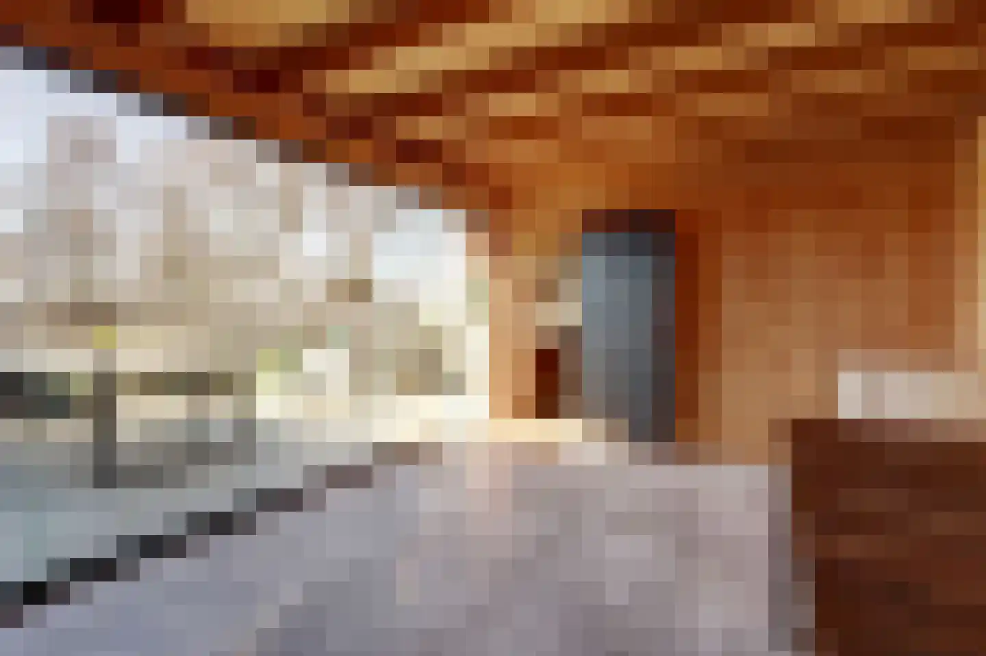 Noordzijdseweg 193 Polsbroek thumbnail 48