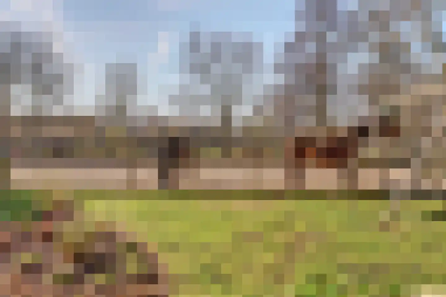 Noordzijdseweg 193 Polsbroek thumbnail 53