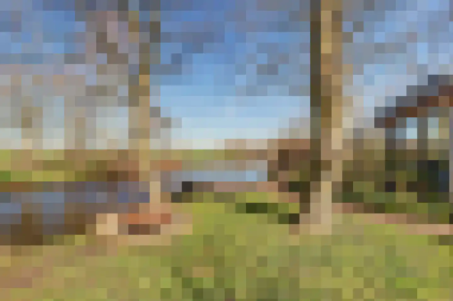 Noordzijdseweg 193 Polsbroek thumbnail 54