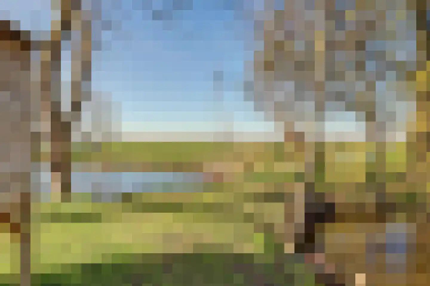 Noordzijdseweg 193 Polsbroek thumbnail 55