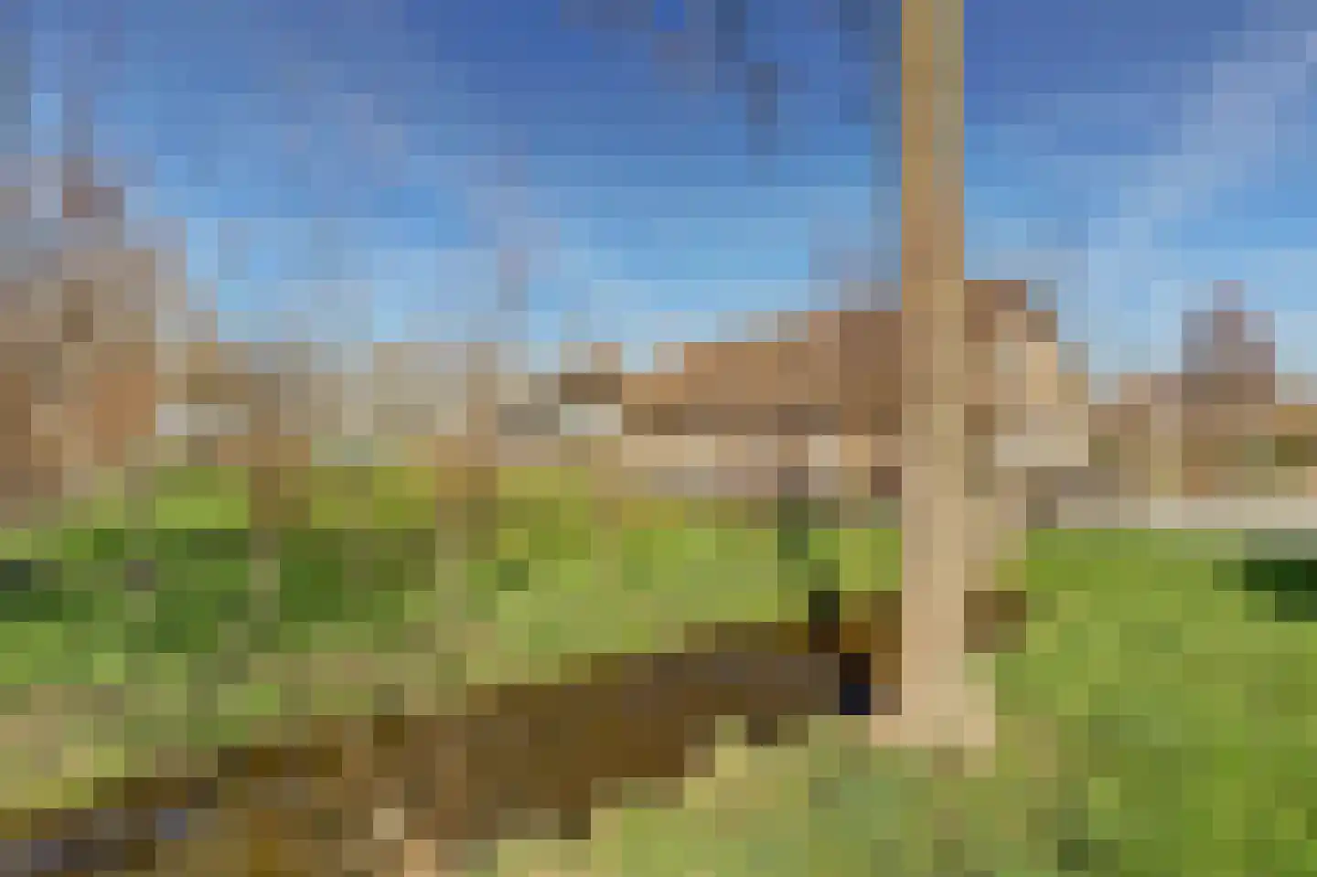 Noordzijdseweg 193 Polsbroek thumbnail 61