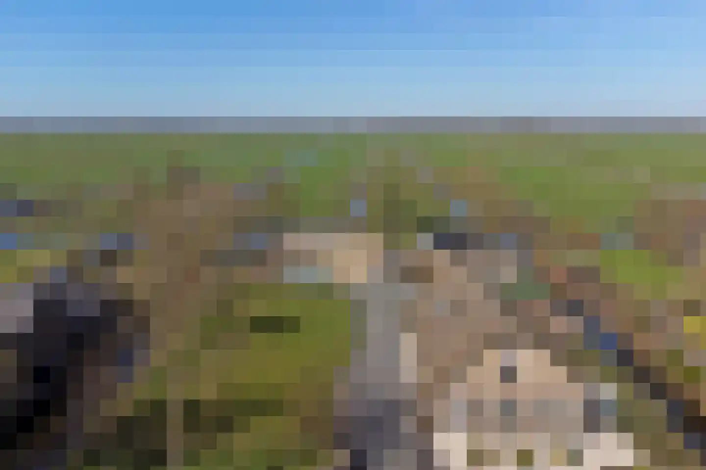 Noordzijdseweg 193 Polsbroek thumbnail 62