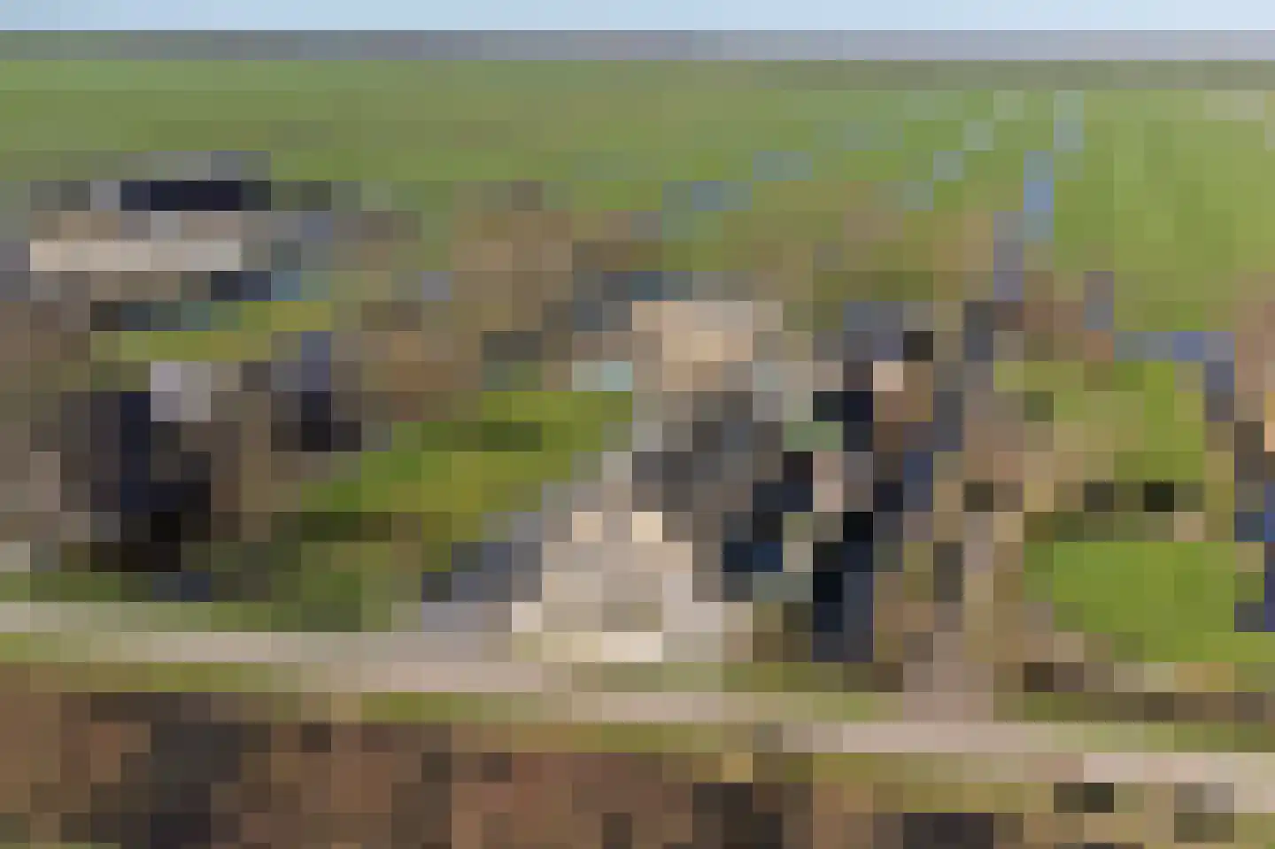 Noordzijdseweg 193 Polsbroek thumbnail 63