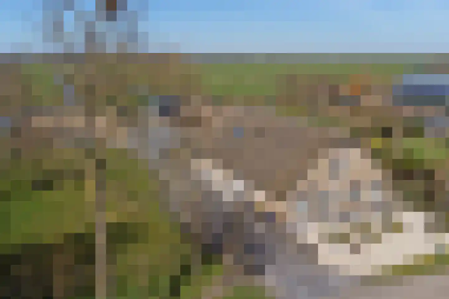 Noordzijdseweg 193 Polsbroek thumbnail 64
