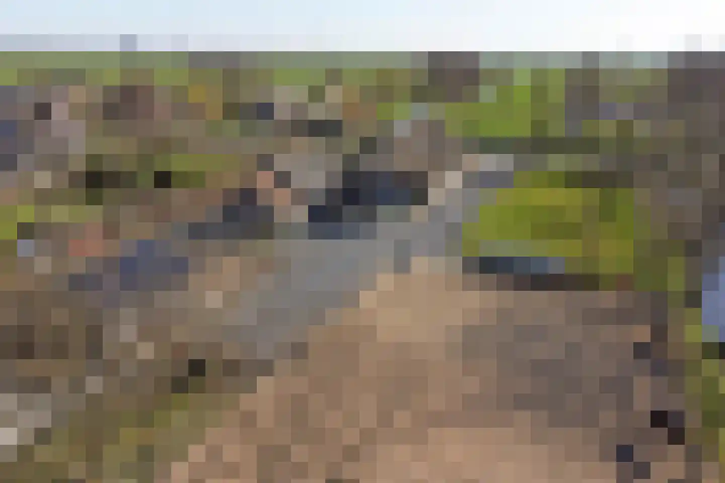 Noordzijdseweg 193 Polsbroek thumbnail 66