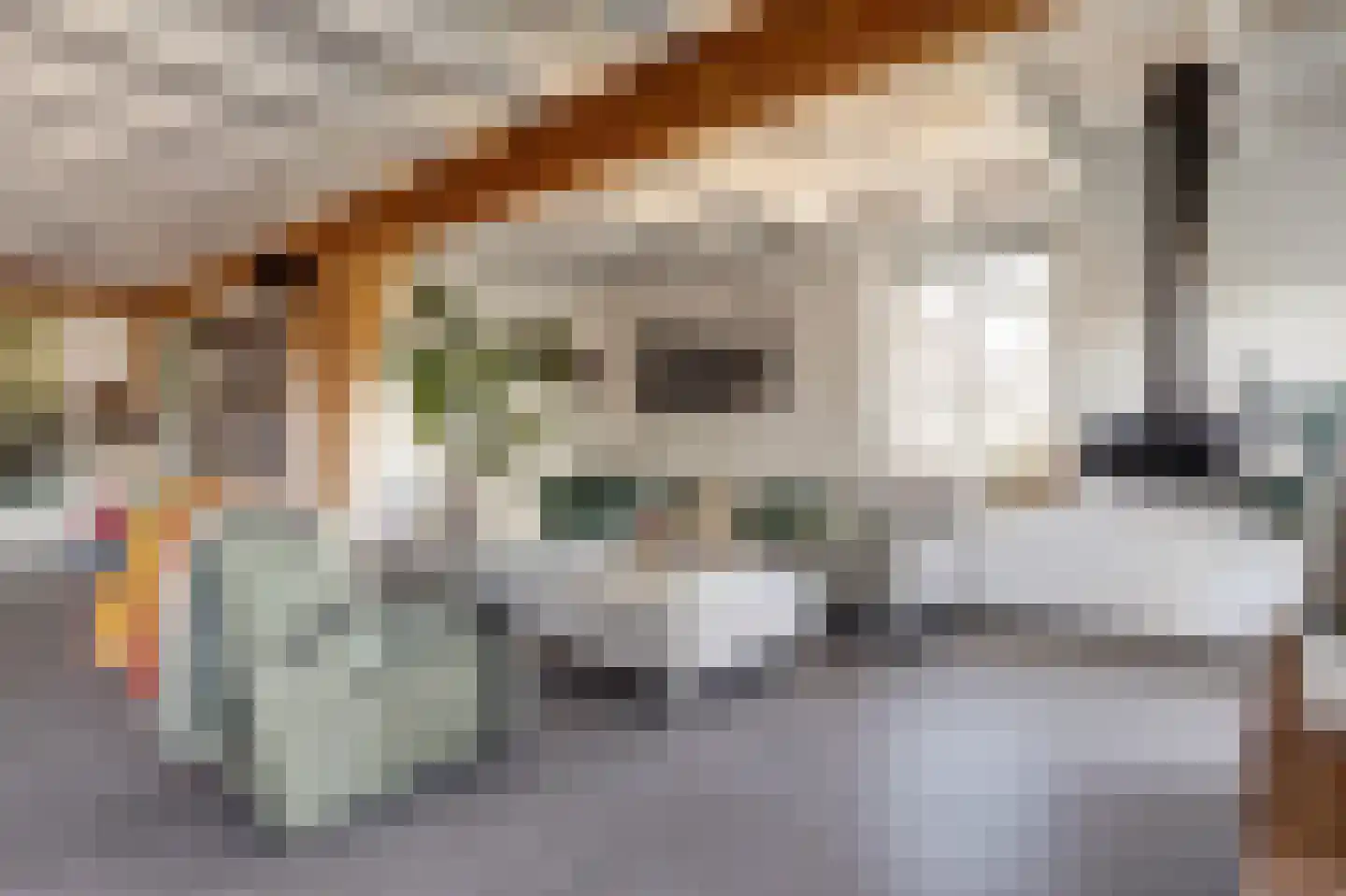 Noordzijdseweg 193 Polsbroek thumbnail 8