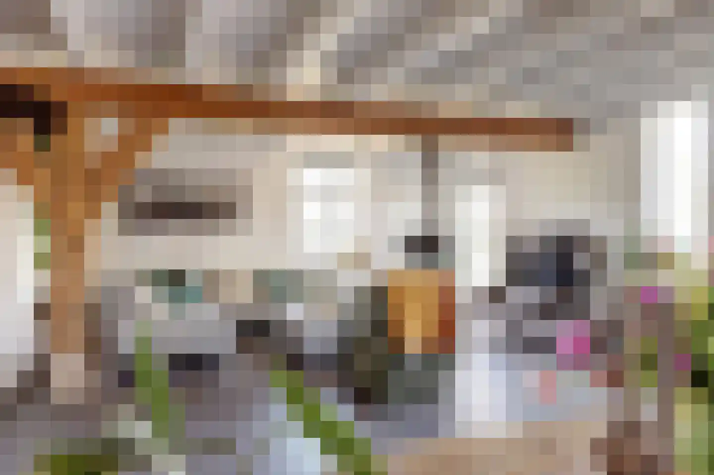 Noordzijdseweg 193 Polsbroek thumbnail 9