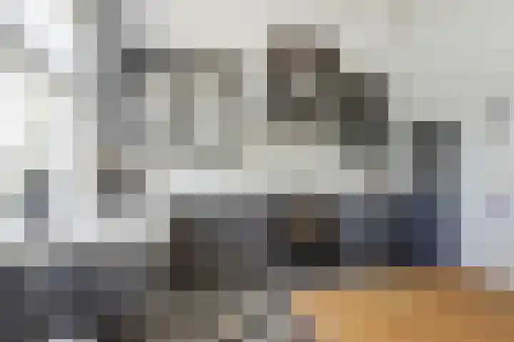 Noordzijdseweg 229 Polsbroek thumbnail 10