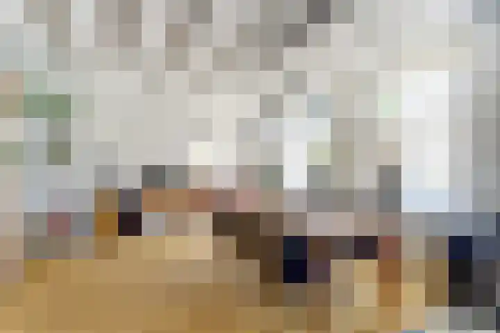 Noordzijdseweg 229 Polsbroek thumbnail 13