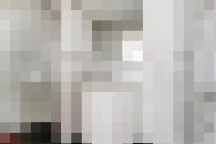 Noordzijdseweg 229 Polsbroek thumbnail 19
