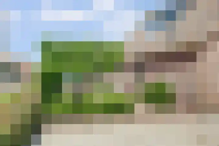Noordzijdseweg 229 Polsbroek thumbnail 30