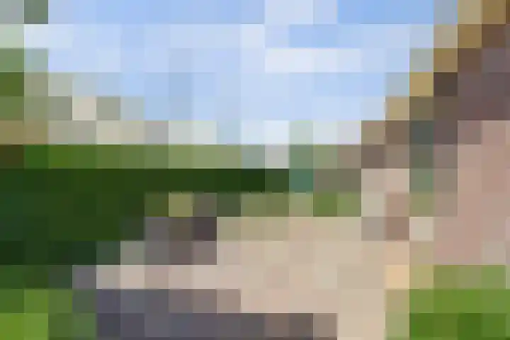 Noordzijdseweg 229 Polsbroek thumbnail 31