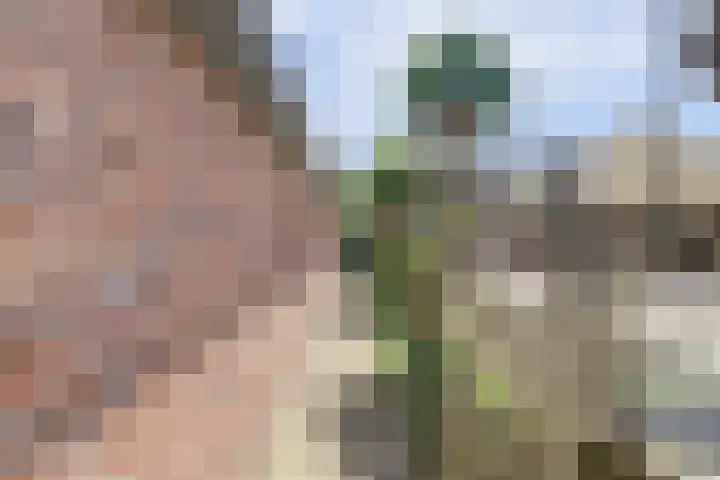 Noordzijdseweg 229 Polsbroek thumbnail 34