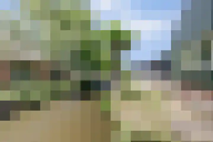 Noordzijdseweg 229 Polsbroek thumbnail 35