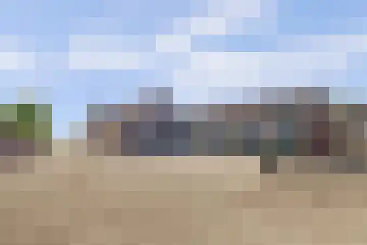 Noordzijdseweg 229 Polsbroek thumbnail 36