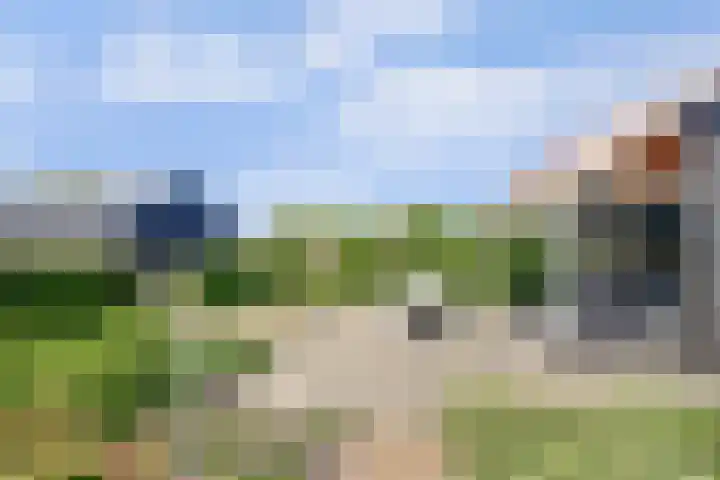 Noordzijdseweg 229 Polsbroek thumbnail 41