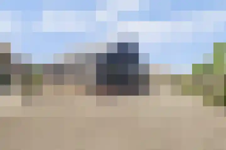 Noordzijdseweg 229 Polsbroek thumbnail 44