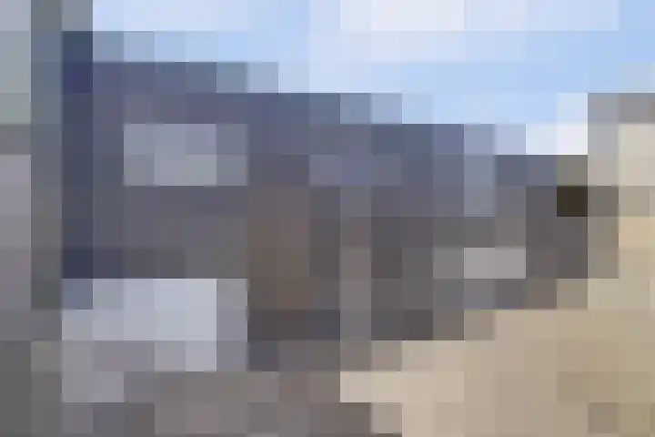 Noordzijdseweg 229 Polsbroek thumbnail 47