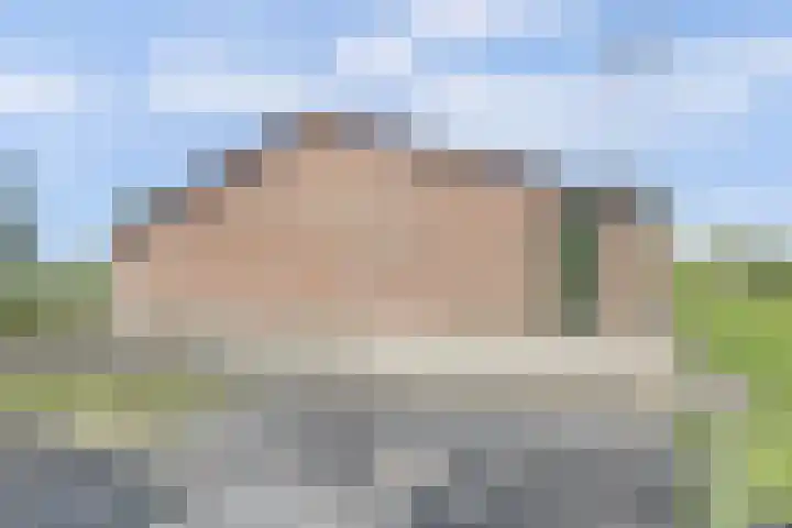 Noordzijdseweg 229 Polsbroek thumbnail 49