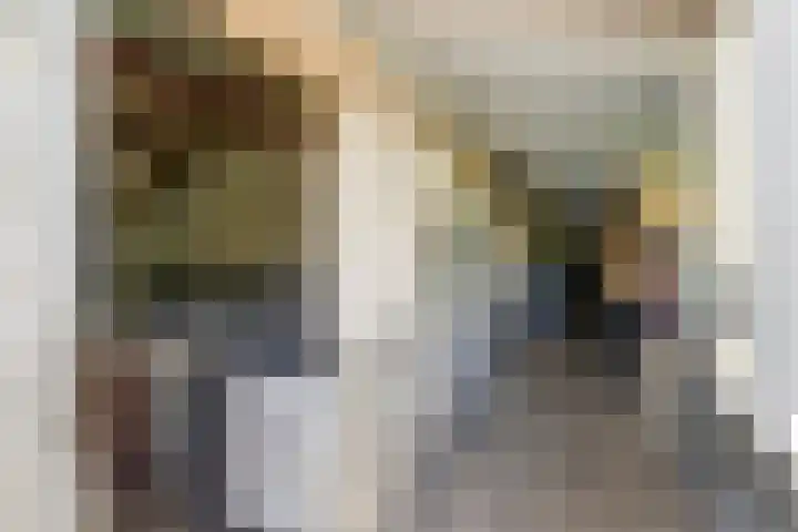 Noordzijdseweg 229 Polsbroek thumbnail 50