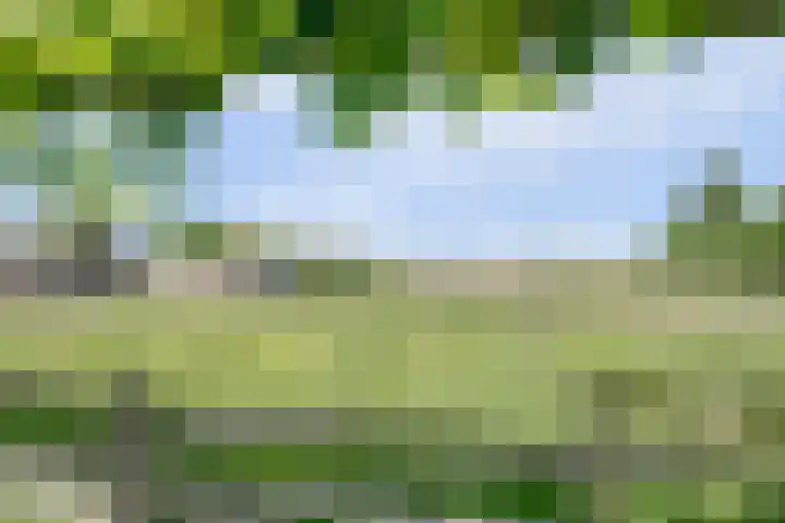 Noordzijdseweg 229 Polsbroek thumbnail 53