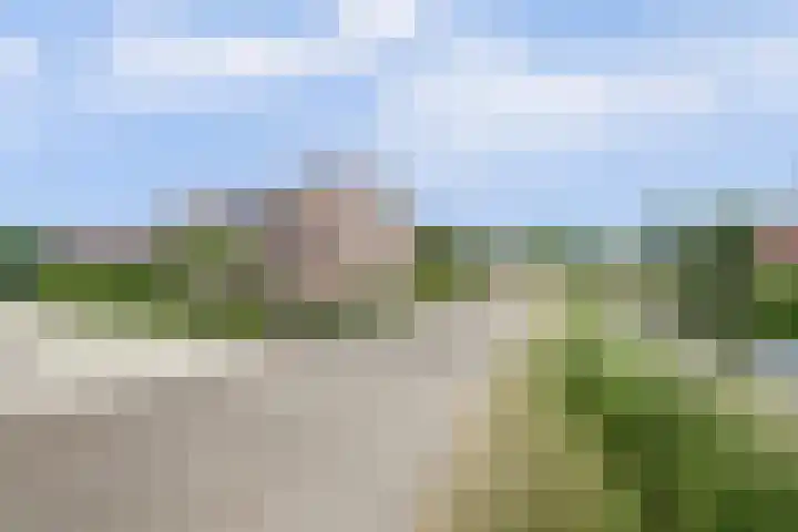 Noordzijdseweg 229 Polsbroek thumbnail 54
