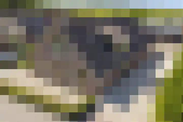 Noordzijdseweg 229 Polsbroek thumbnail 57