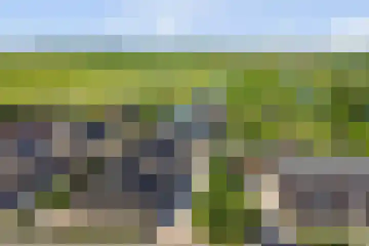 Noordzijdseweg 229 Polsbroek thumbnail 58