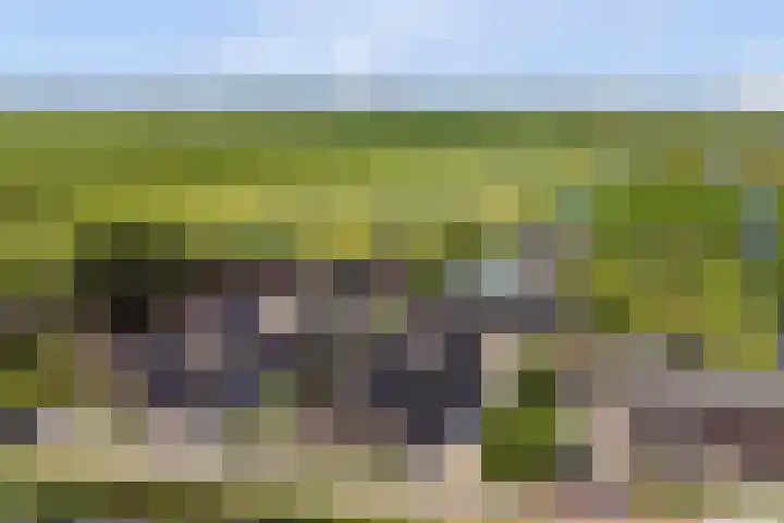 Noordzijdseweg 229 Polsbroek thumbnail 59