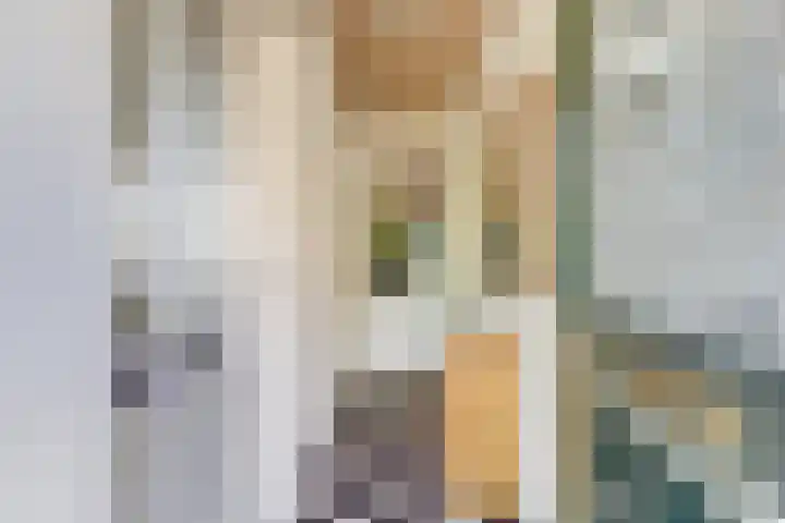Noordzijdseweg 229 Polsbroek thumbnail 6
