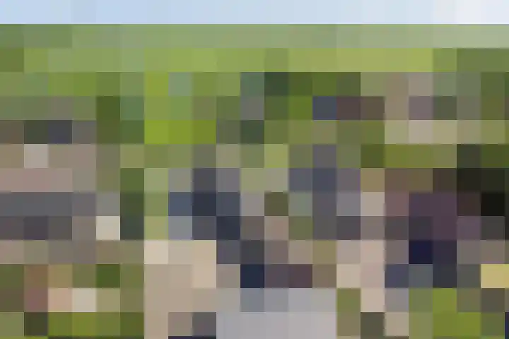 Noordzijdseweg 229 Polsbroek thumbnail 60