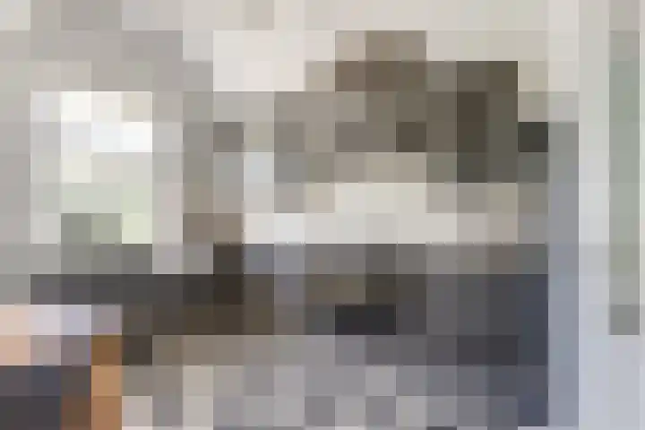 Noordzijdseweg 229 Polsbroek thumbnail 9