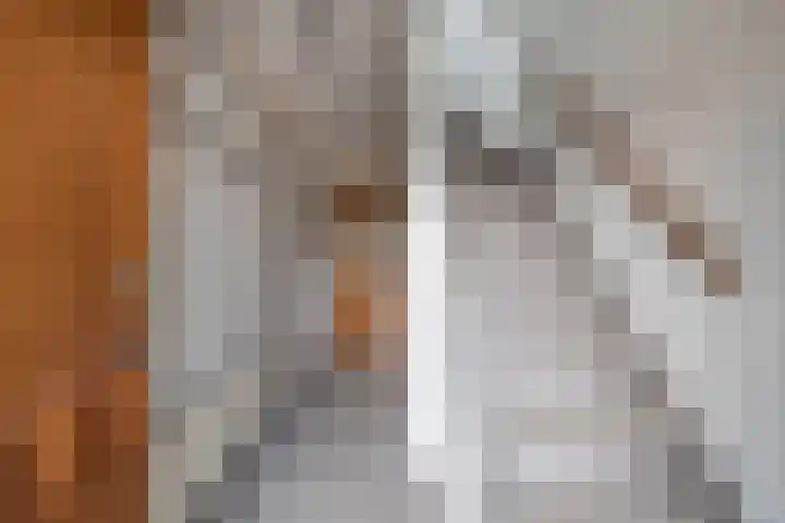 Noordzoom 125 Marknesse thumbnail 10