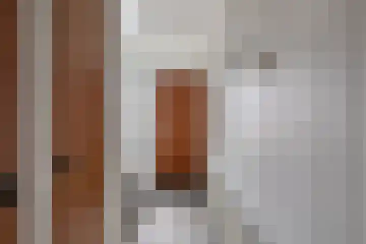 Noordzoom 125 Marknesse thumbnail 11
