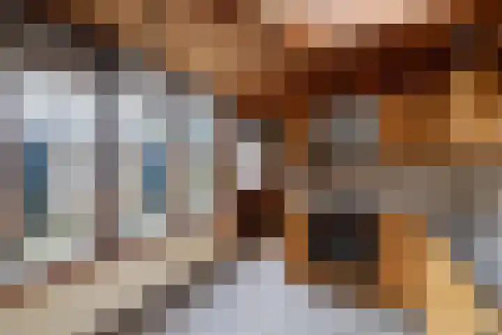 Noordzoom 125 Marknesse thumbnail 18