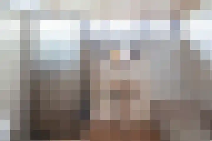 Noordzoom 125 Marknesse thumbnail 22