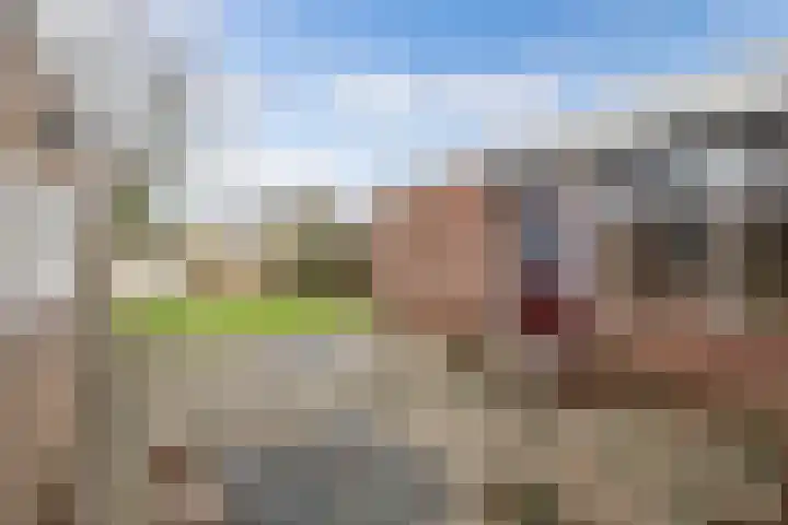 Noordzoom 125 Marknesse thumbnail 24
