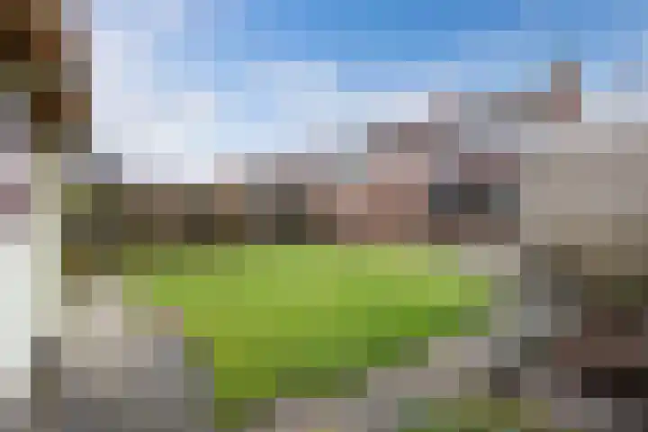 Noordzoom 125 Marknesse thumbnail 26