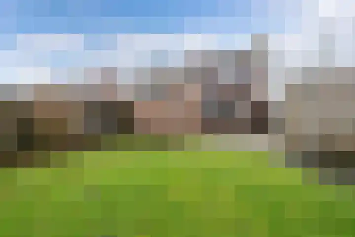 Noordzoom 125 Marknesse thumbnail 27