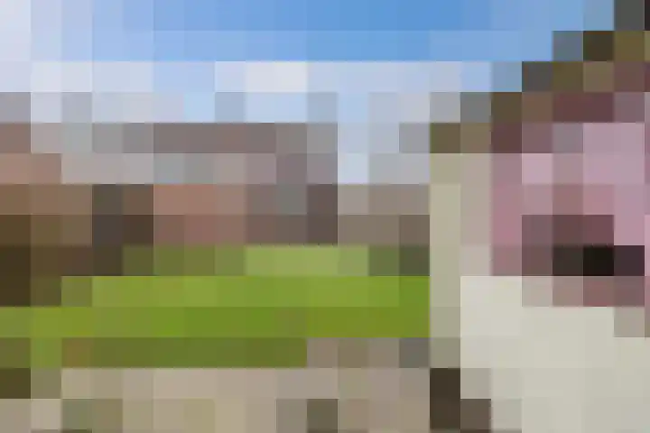 Noordzoom 125 Marknesse thumbnail 28