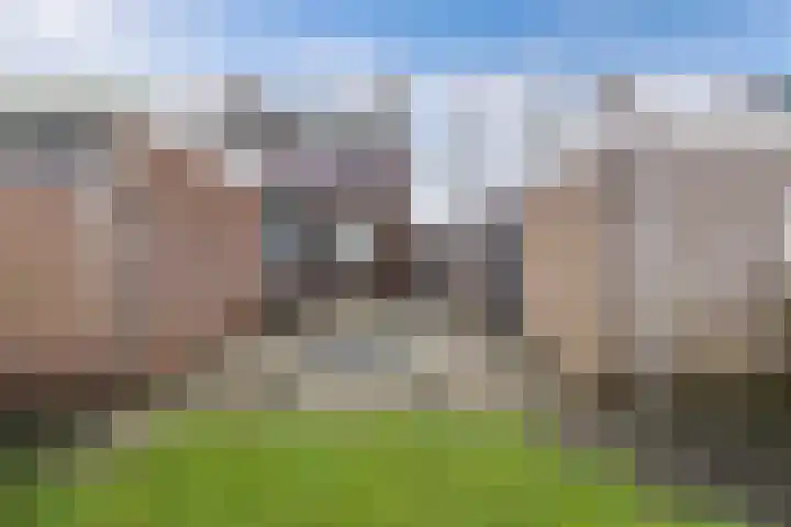 Noordzoom 125 Marknesse thumbnail 30