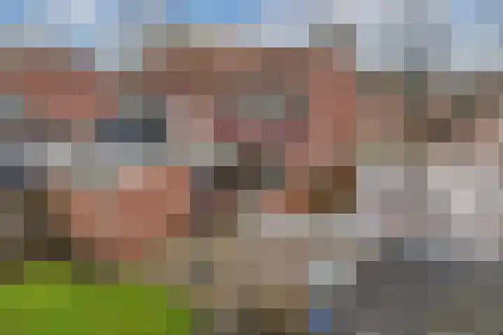 Noordzoom 125 Marknesse thumbnail 33