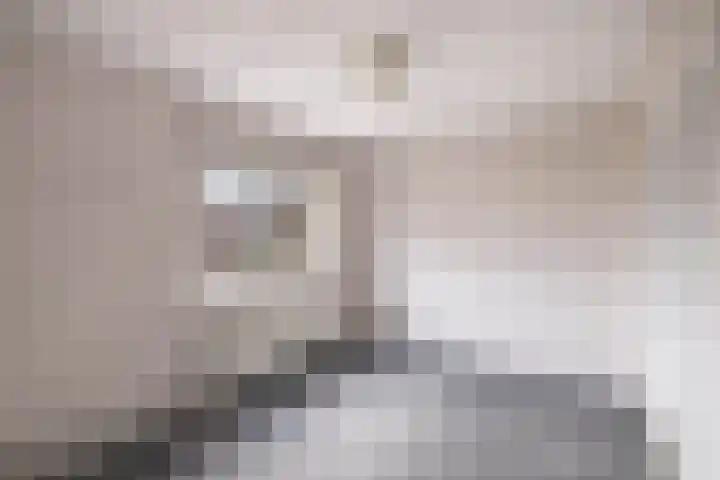Noordzoom 125 Marknesse thumbnail 36