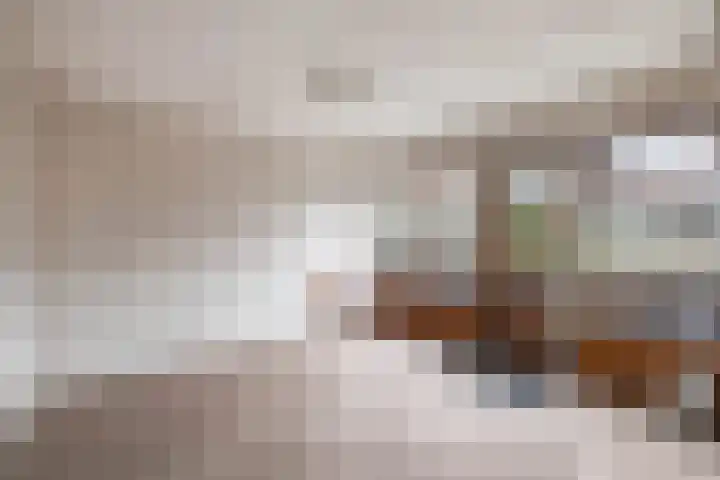 Noordzoom 125 Marknesse thumbnail 38