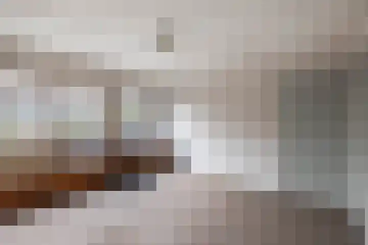 Noordzoom 125 Marknesse thumbnail 39