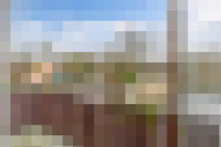 Noordzoom 125 Marknesse thumbnail 40